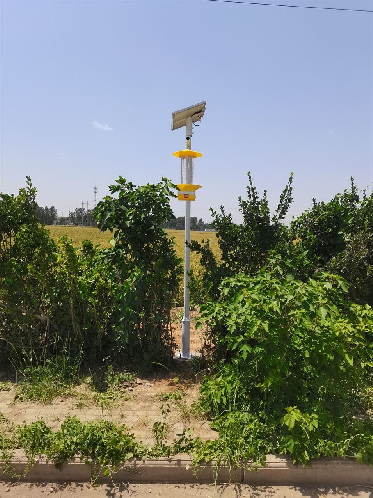 河南安陽雙全村采購競道光電科技智慧農業氣象站